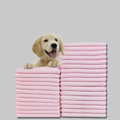 Puppy Pee Training Disposable Pet Pads 60x60mm 60x90mm Duurzame Beschikbare Huisdierenstootkussens