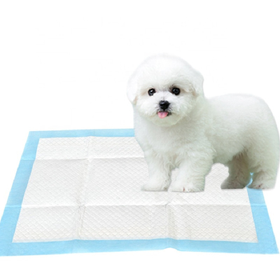 Beschikbaar Absorberend Binnen het Stootkussenpuppy van de Huisdierenurine de Urinestootkussen van de Opleidingshond