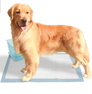 Buitengewoon brede Bamboe Opleidingsstootkussens Beschikbaar Pee Pads For Dogs
